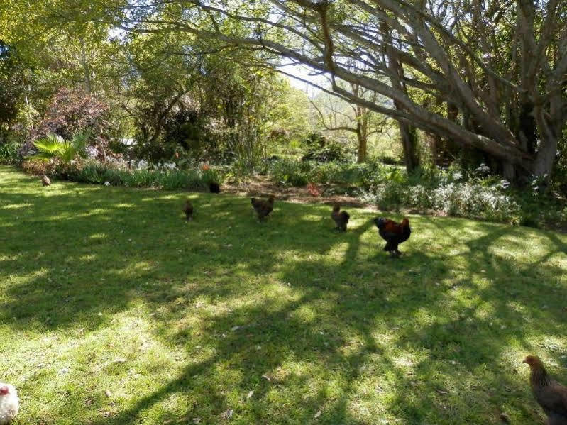 Braeside Guest House (Adults Only) Swellendam Luaran gambar